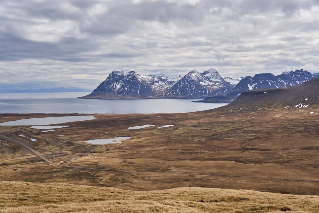 _DSC8564