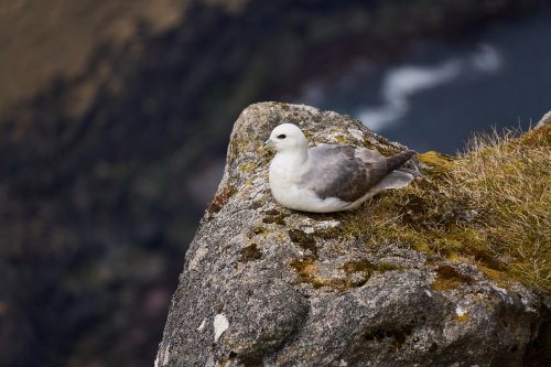 _DSC8641