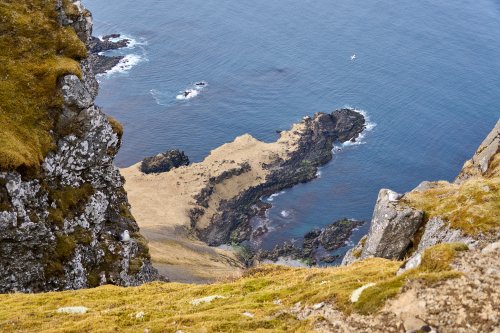 _DSC8651