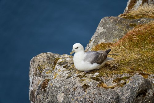 _DSC8657