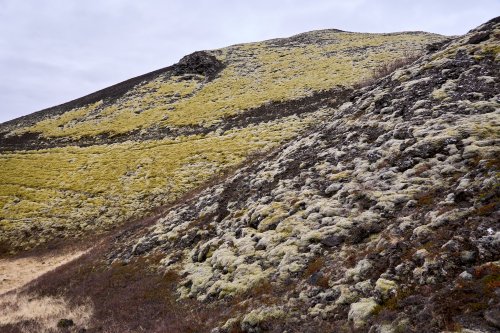 _DSC8677