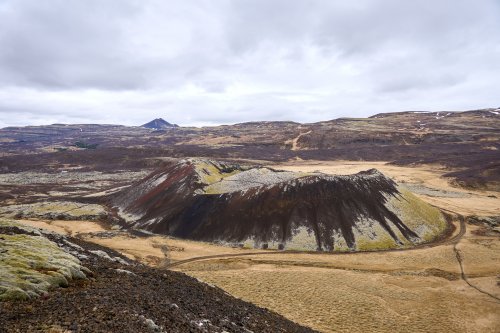_DSC8685