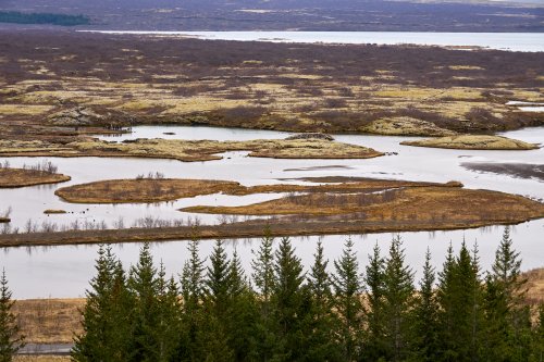 _DSC8711