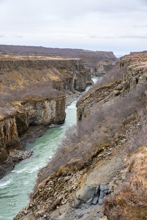 _DSC8757