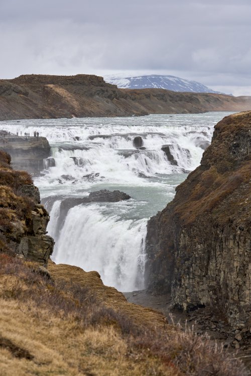_DSC8764