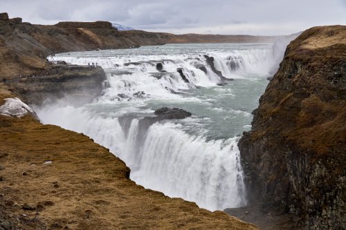 _DSC8781