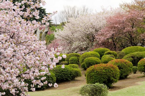 01-Tokyo2_20120419_0699