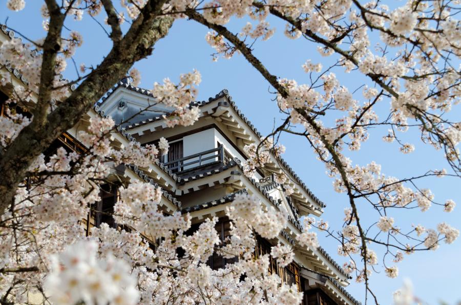 Japan 2012