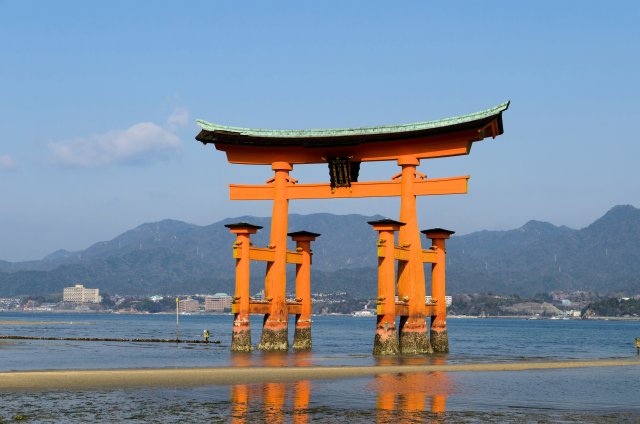 05-Miyajima1_20120412_0484