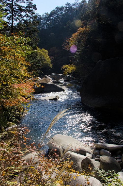 04-Shosenkyo_20131116_0040