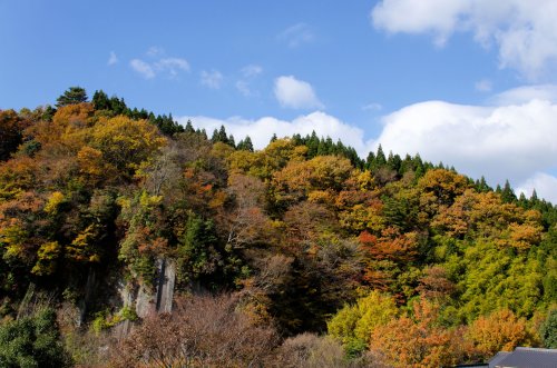06-Kurokawa_20131120_0020