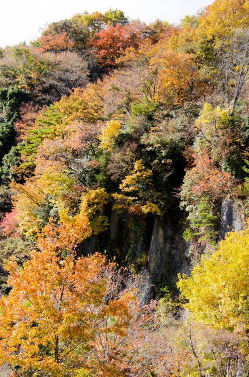 06-Kurokawa_20131121_0061