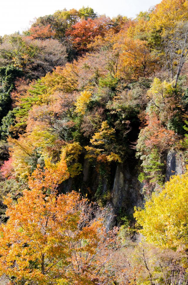06-Kurokawa_20131121_0061