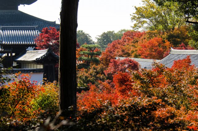 08-Kyoto_20131123_0017