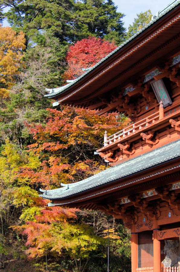 Japan 2013