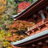 Japan 2013