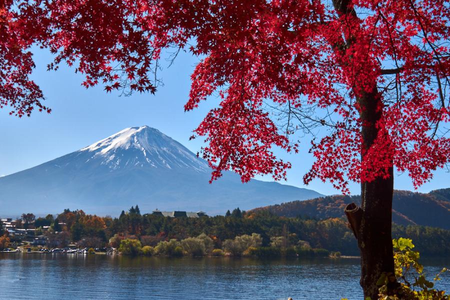Japan 2019