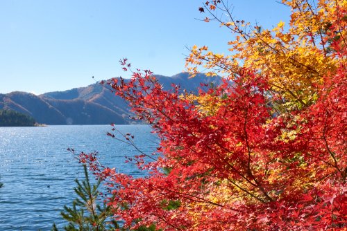 japan-2019-1-0298