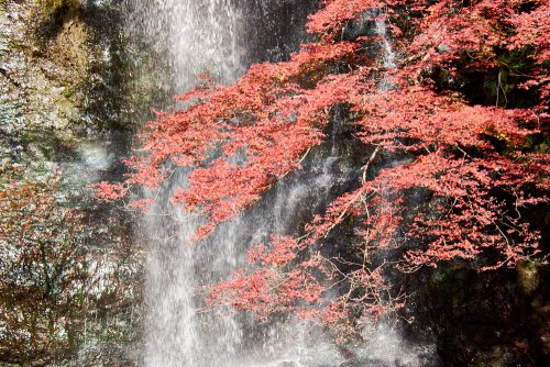japan-2019-2-0966