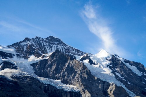 _DSC0645