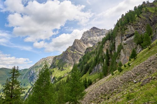_DSC9339