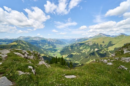 _DSC9412