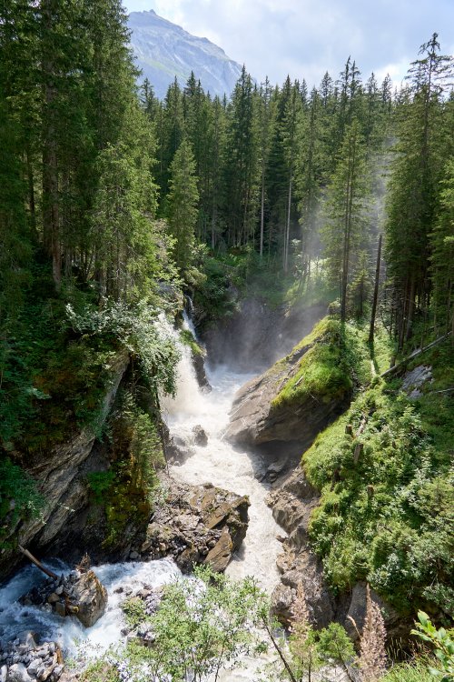 _DSC9549