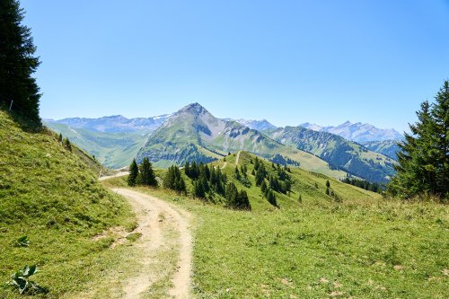 _DSC9623