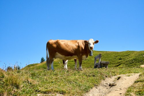 _DSC9637