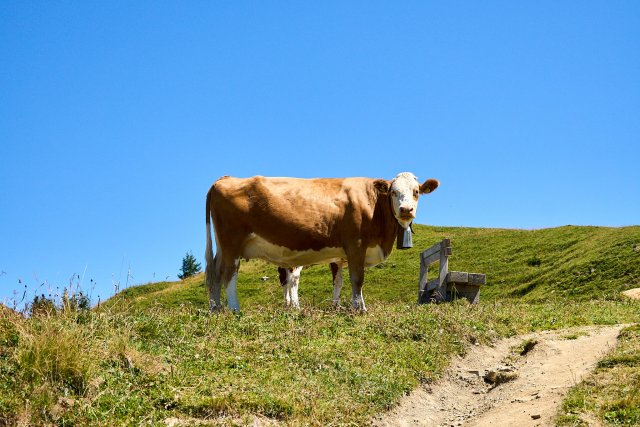 _DSC9637